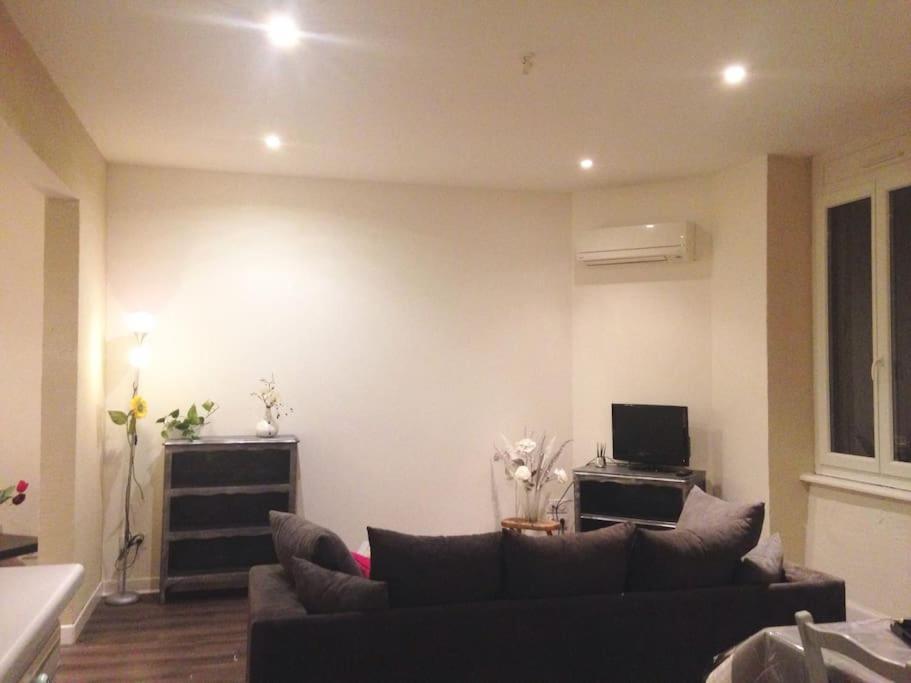 Appartement Au Calme Rodez Extérieur photo